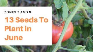 13 Seeds to Plant in June - [Zones 7 and 8]