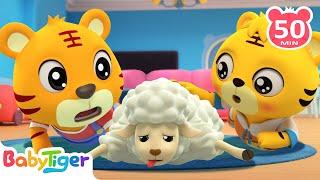 Barry Had A Little Lamb + More Nursery Rhymes & Animal Songs For Kids | BabyTiger