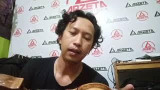 review biola aeyra natural series 5 senar