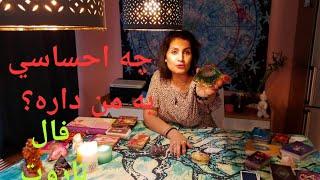 مي خواي بدوني كه چه احساسي بهت داره؟ *Farsi Tarot