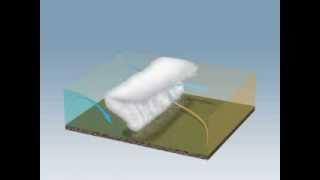 Temperate Cyclones: Warm, Cold and Occluded fronts.