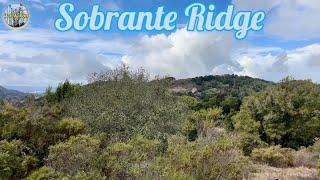 JayWalkin in The Woods | El Sobrante, California  [4K]