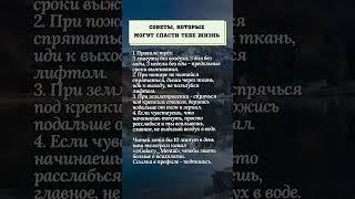 Советы, которые могут спасти тебе жизнь.#психология #советы #жизнь #мысли #развитие #истина #любовь