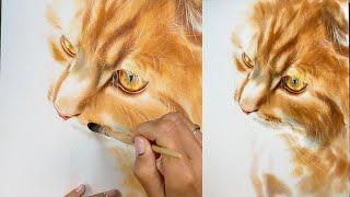 Ginger cat realistic painting in watercolor