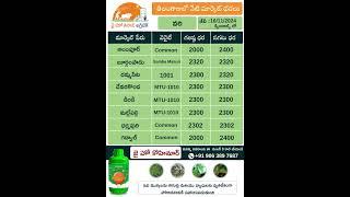 jhk market rate updates | Today Market Prices of Paddy(వరి) in telangana |   @JaiHoKisan