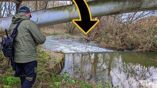 Fishing a TINY SNAGGY Essex River (BFS River Fishing)