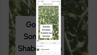 Shabelle, Godey Somalida Itobiya.