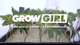 Male vs Female Cannabis Plants (Ep. Six) | Grow Girl