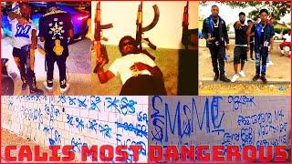 Who are the Main Street Mafia Crips? | the MOST notorious and hated small Crip gang in Los Angeles