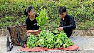 Homeless boy and poor girl harvest vegetables in the garden to sell to buy locks for the house