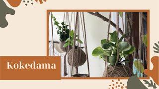 Kokedama (técnica super fácil)