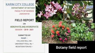 Botany field report | Field report | Trip report | Xerophytic plants