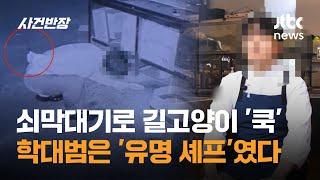 쇠막대기로 길고양이 '쿡'…학대범은 '유명 셰프'였다 / JTBC 사건반장