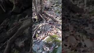 천둥지기산행