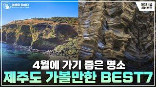 4월 제주도 가볼만한곳 BEST7 이곳들은 반드시 가보세요!