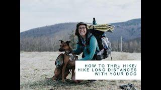 How to Thru Hike/Hike Long Distances with your Dog