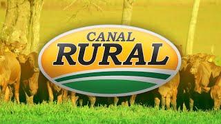 CANAL RURAL EN VIVO