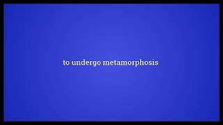 Metamorphose Meaning