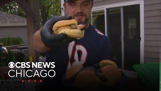 Grillin with Dad joins CBS News Chicago live