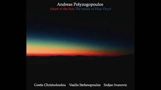 Andreas Polyzogopoulos " Shine on you Crazy Diamond "