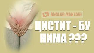 ЦИСТИТ - БУ НИМА ?? ||  SISTIT BU NIMA ??  ( #OnalarMaktabi )