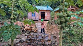 Building a water system for the farm and harvesting okra in the garden - Mountain Garden.