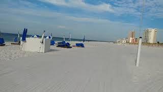 Beach Walk Gulf of Mexico uncensored no protesters Salt Life Bikini Search