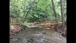 40+ Foot Suspension Bridge