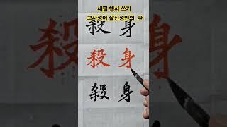 세필 행서 쓰기 고사성어 살신성인의  身
