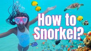 SNORKELING Tips for First-Timers / Families with Kids! [2025]