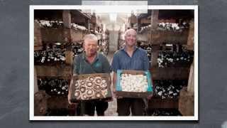 Meet our Growers - Te Mata Mushroom Co - New World