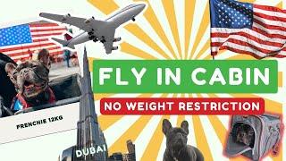 How to Fly With Dog In Cabin NO Weight Restriction! From High-Risk Rabies Country Dubai (UAE) to USA