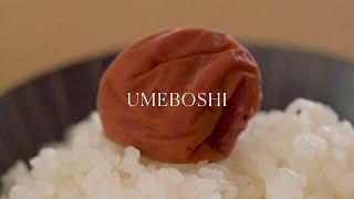 Umeboshi  Japanese pickled plums