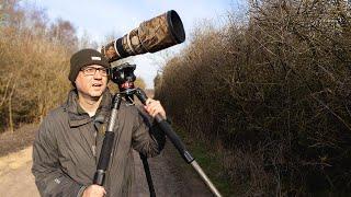 Morning Bird Photography Vlog - Shooting High Up in the Trees