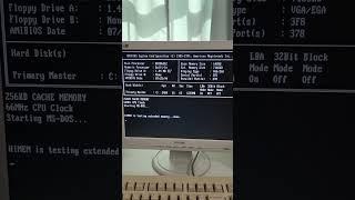Living the 90s (MS-DOS)