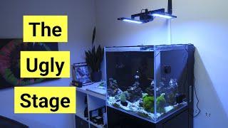 Nano Reef Tank First 3 Months: The Ugly Stage, Adding Fish & Corals And More! | Cade Nano Pt 2