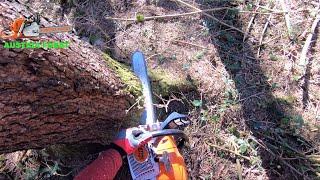 The Stihl MS 400 C is nice and powerful