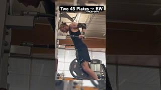 Keep This in Your Workout #gym  #weightlifting #logdog836 #weighteddips #dips #bodyweight #shorts