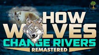 How Wolves Change Rivers [REMASTERED HD] - George Monbiot