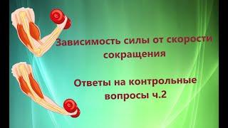 Зависимость силы от скорости сокращения. Вопросы на критическое мышление.