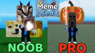 Noob To Pro In MEME SEA | Roblox