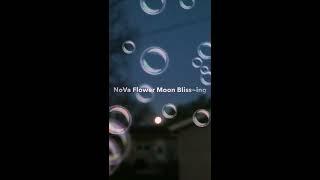 NoVa Flower Moon Bliss~ings Full Moon Sovereigns Weaving Divine Timeline