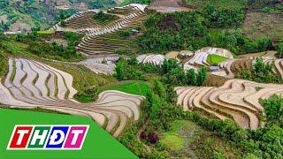 Ngỡ ngàng trước vẻ đẹp mùa nước đổ ở Lào Cai | THDT