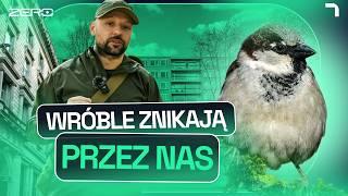 TO BĘDZIE KATASTROFA - CO SIĘ STANIE, JEŚLI ZNIKNĄ WRÓBLE | GATUNEK ZERO #37