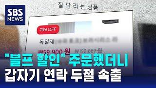 "블프 할인" 주문 받곤 잠적…온라인 해외직구 쇼핑몰 주의보 / SBS