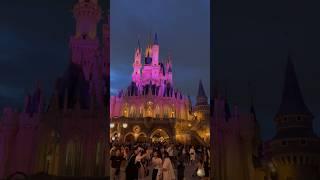 Disney world Токио обзор