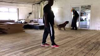 XXL Bully protection training "Home Invasion"