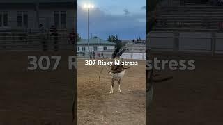 307 Risky Mistress, Brody Wells, Grand Junction 2024