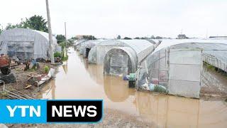 충남 예산서 비닐하우스 2백여 동 침수 / YTN