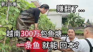 第206集，赚翻了. 在越南300万包鱼塘，一条鱼就能回本？#鱼塘